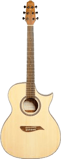 Arcadia DC41 acoustic guitar