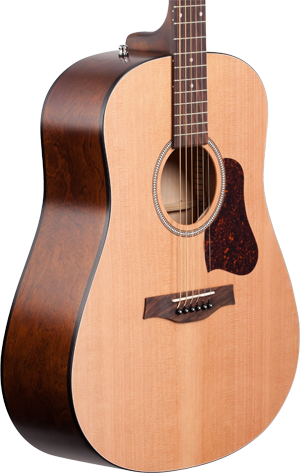 epiphone DR100 acoustic guitar