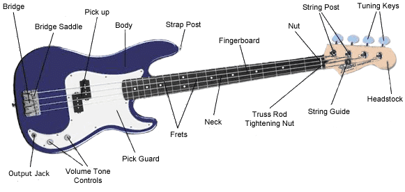 bass guitar anatomy