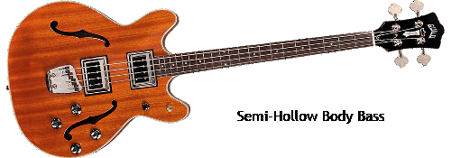 Semi-Hollow body bass guitar